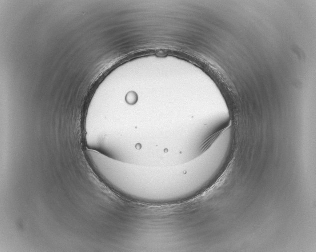 X0000115250977200911271901