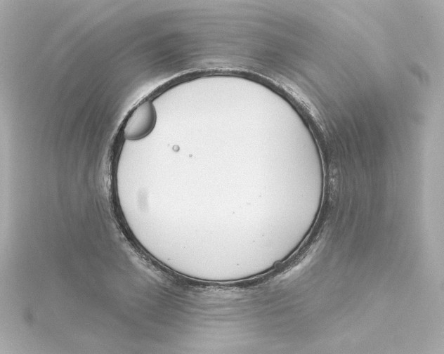 X0000115250981200911271901