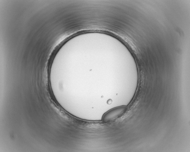 X0000115250982200911271901