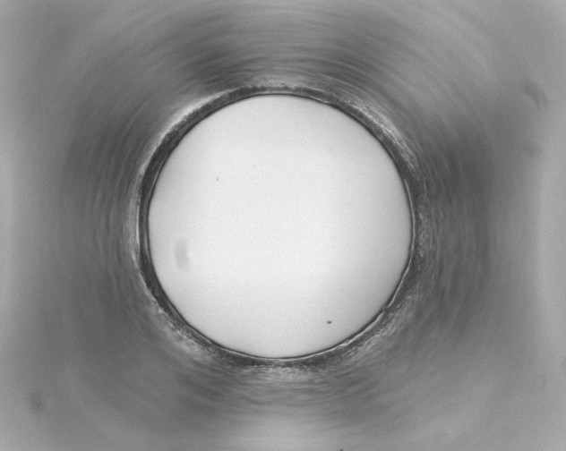 X0000115250984200911271901