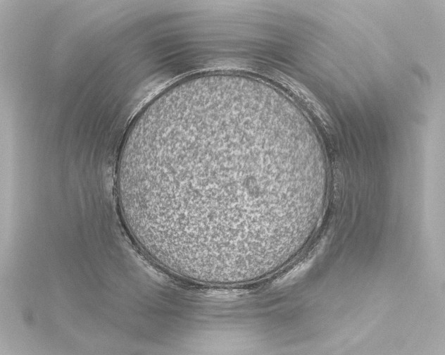 X0000115250985200911271901