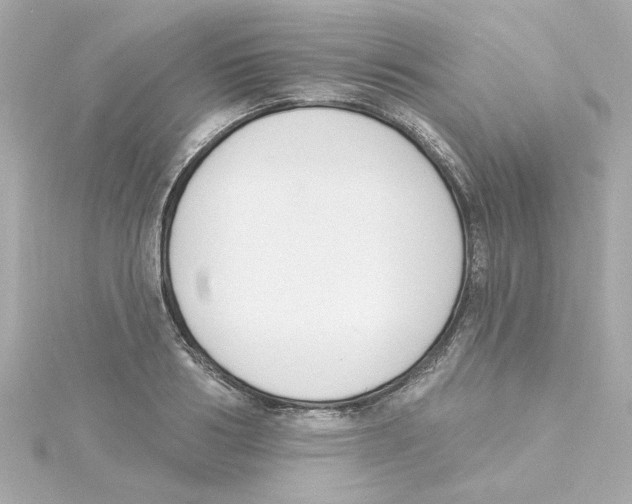 X0000115250986200911271901