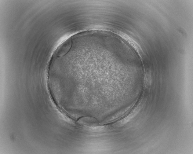 X0000115250989200911271901