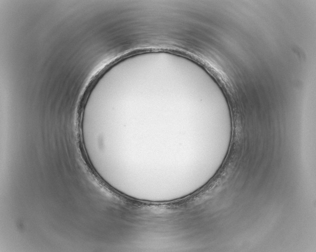 X0000115250990200911271901