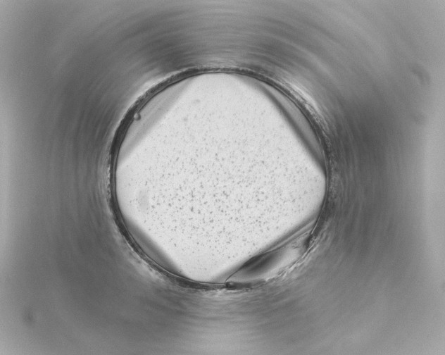 X0000115250992200911271901