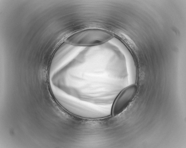 X0000115250993200911271901