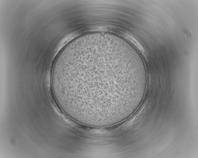 X0000115250994200911271901