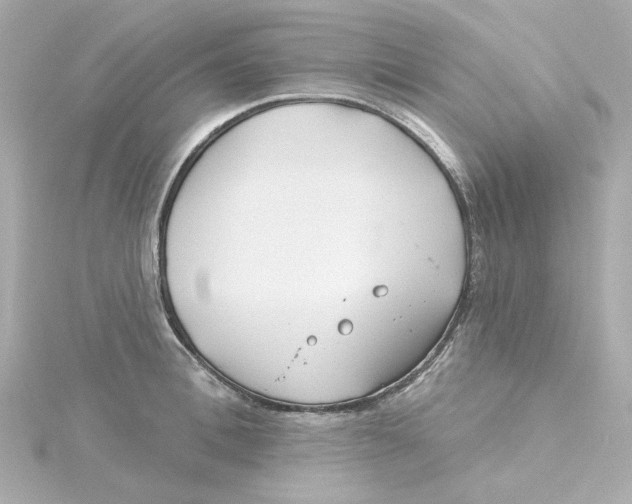 X0000115250996200911271901