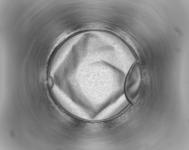 X0000115250997200911271901