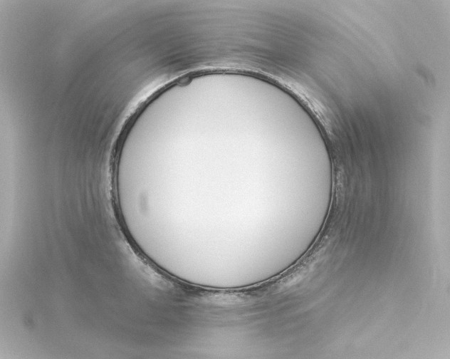 X0000115250998200911271901