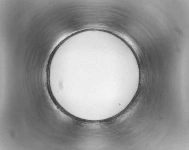 X0000115250999200911271901