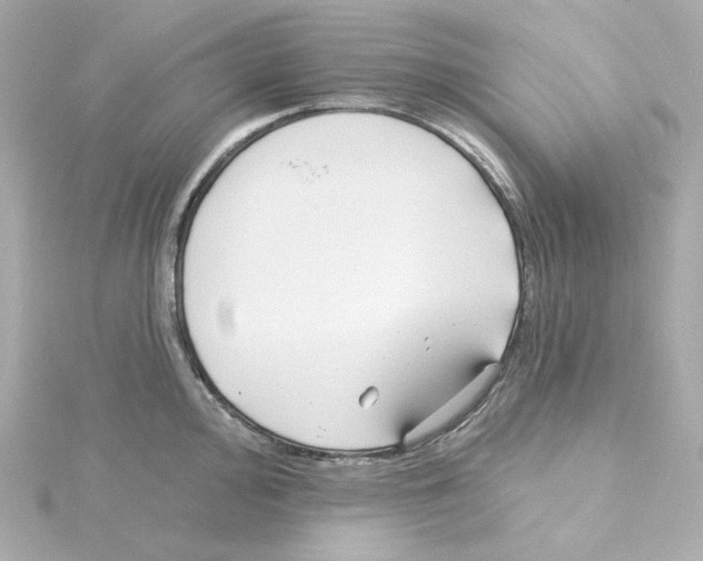 X0000115251000200911271901