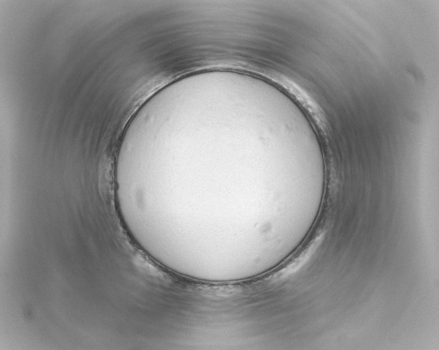 X0000115251001200911271900