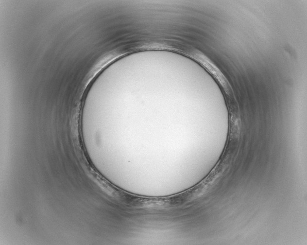 X0000115251002200911271900