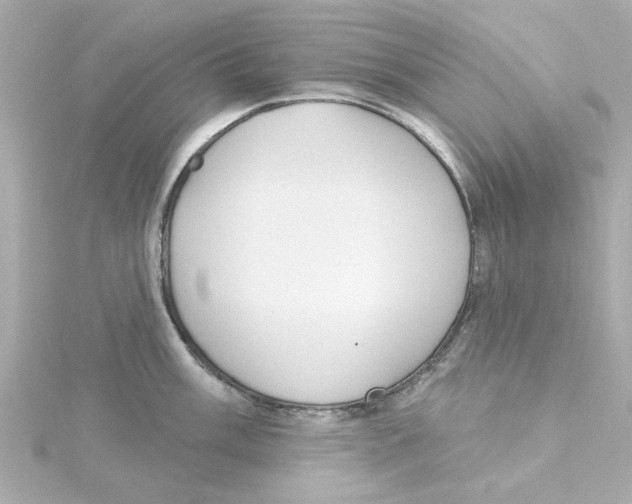 X0000115251003200911271900