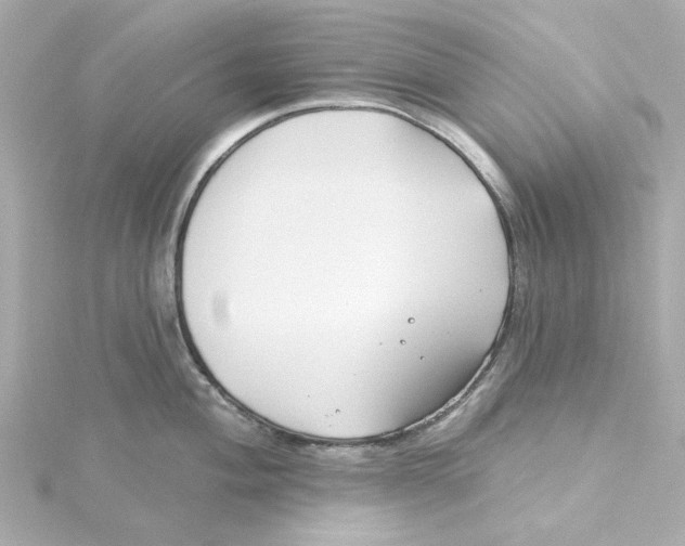 X0000115251004200911271900