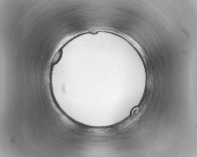 X0000115251005200911271900