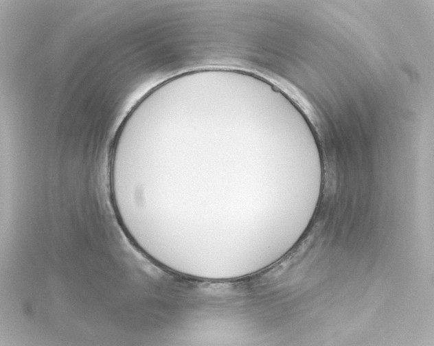 X0000115251006200911271900