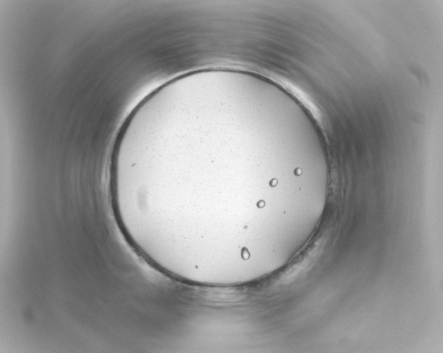 X0000115251007200911271900