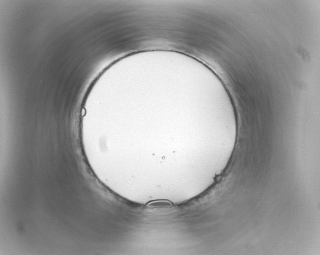 X0000115251008200911271900