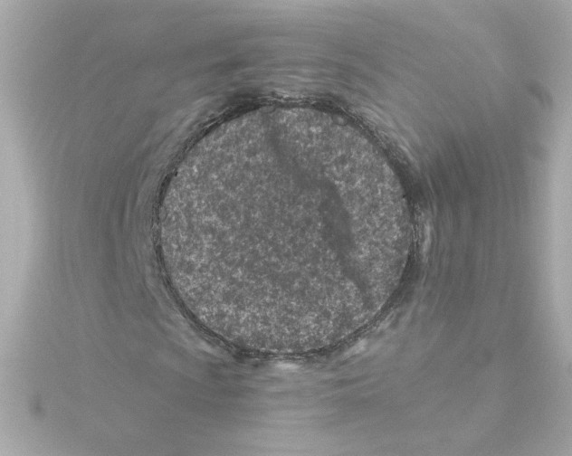 X0000115251009200911271900