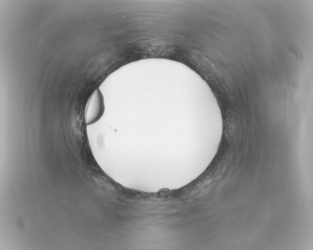 X0000115251010200911271900