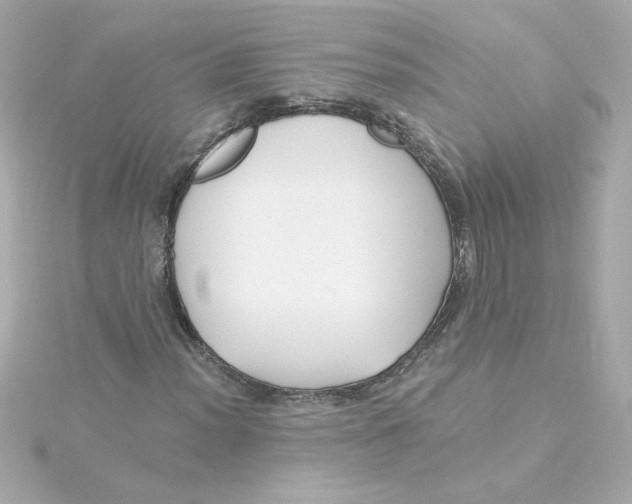 X0000115251012200911271900