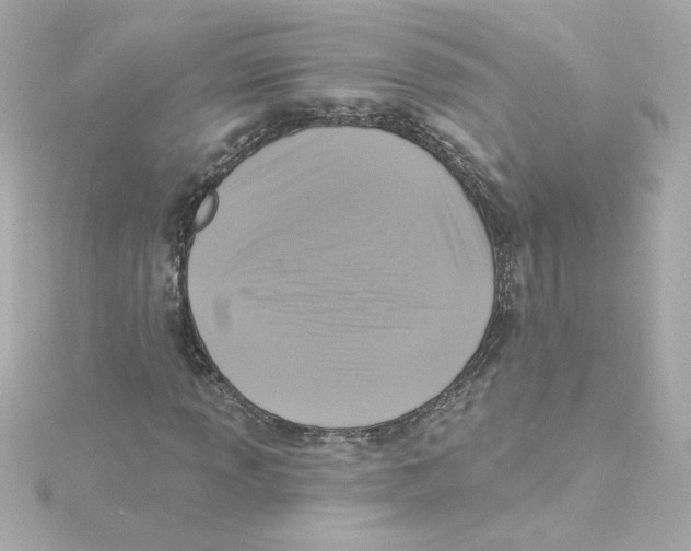 X0000115251013200911271900