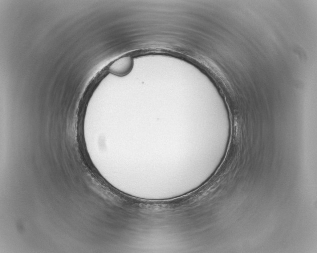 X0000115251020200911271900