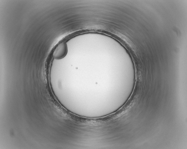 X0000115251022200911271900