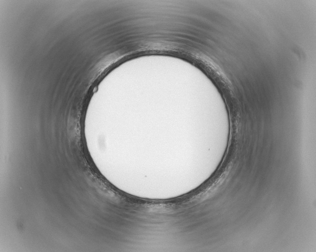 X0000115251025200911271900