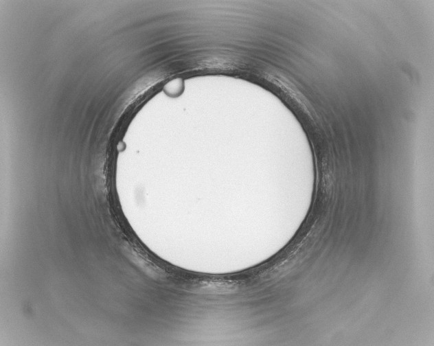 X0000115251026200911271900