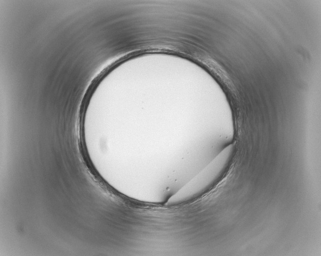 X0000115251028200911271900