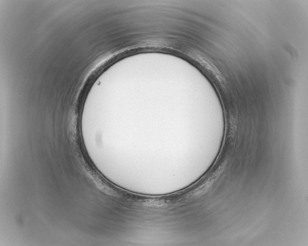 X0000115251029200911271900