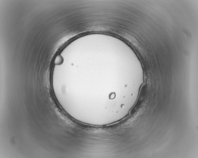 X0000115251030200911271900