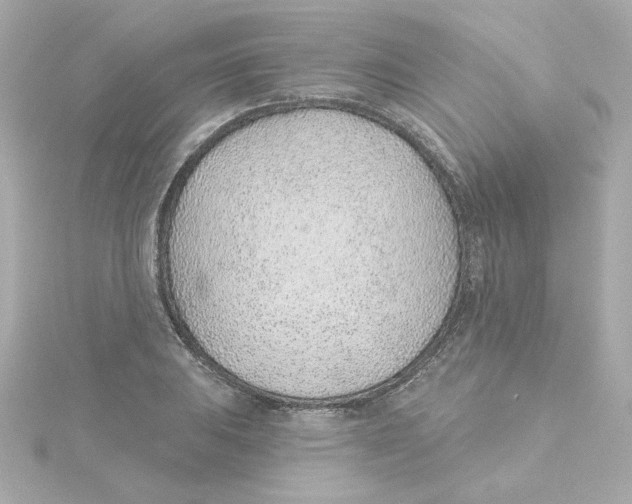 X0000115251031200911271900