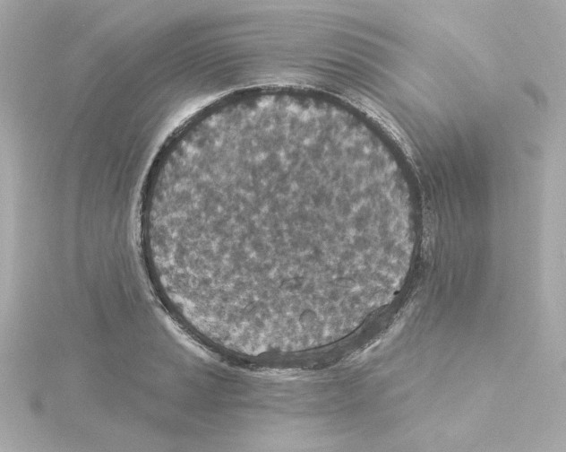 X0000115251037200911271900