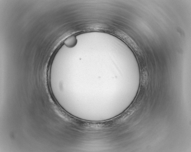 X0000115251039200911271900