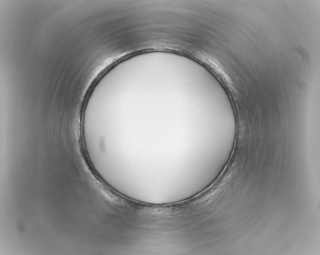 X0000115251040200911271900