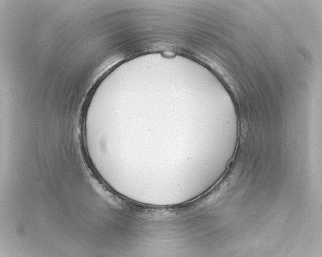 X0000115251042200911271900