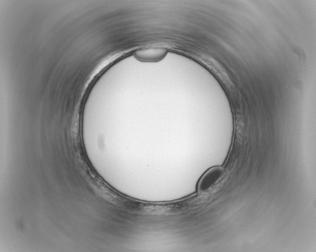 X0000115251044200911271900