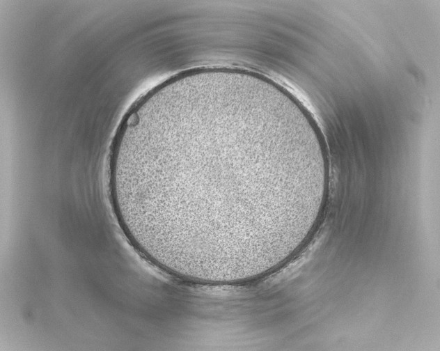 X0000115251045200911271900