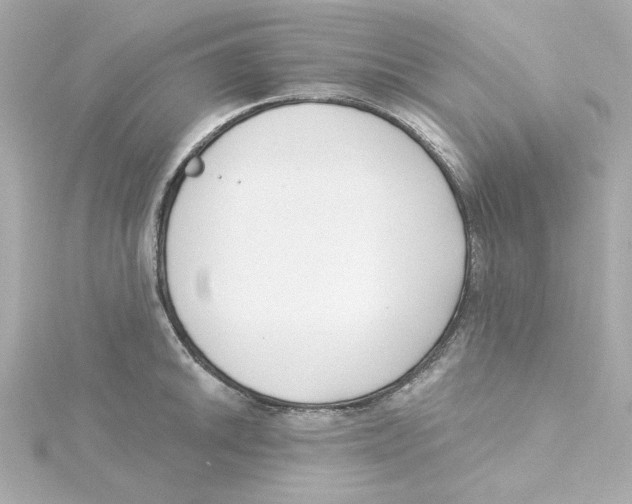 X0000115251046200911271900