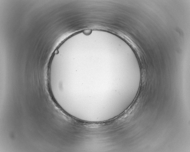 X0000115251048200911271900