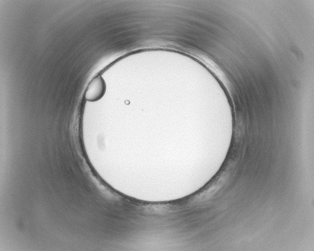 X0000115251053200911271900