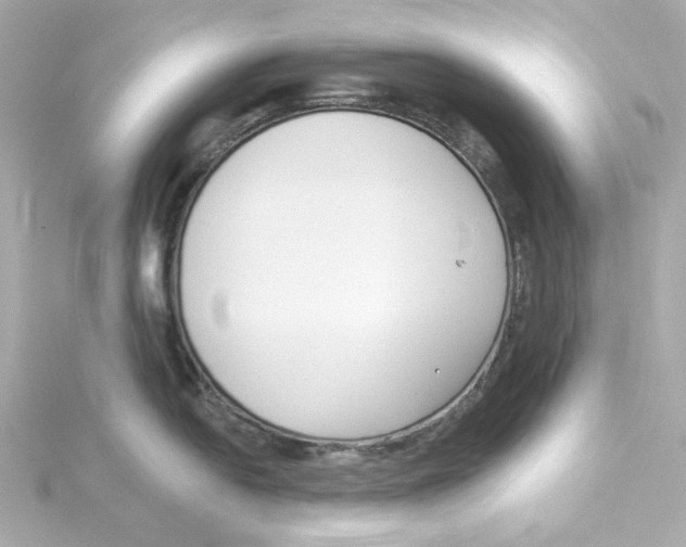 X0000115251054200911271900