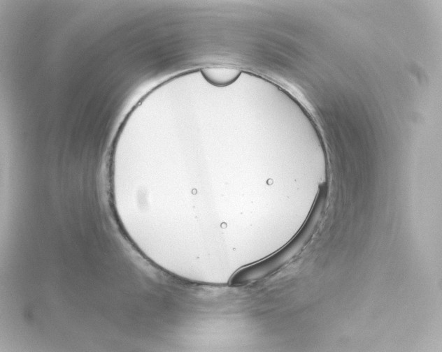 X0000115251056200911271900