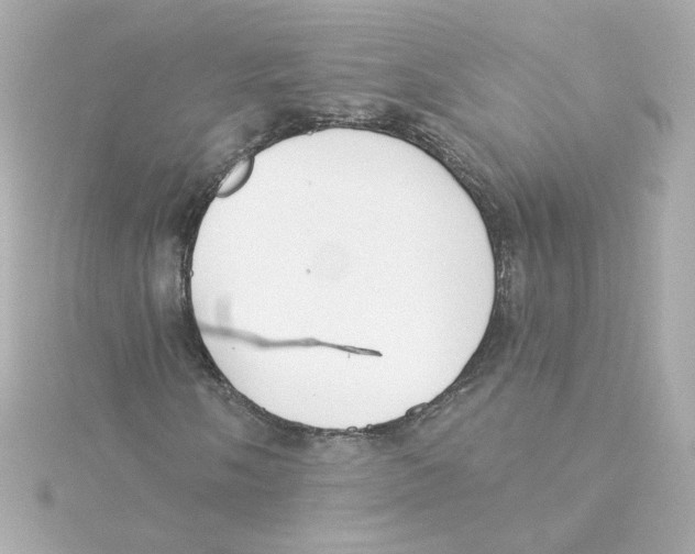 X0000115251058200911271900