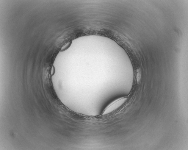 X0000115251059200911271900