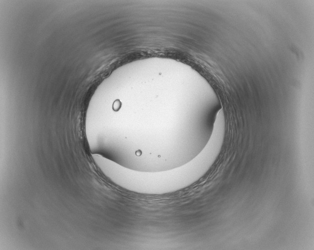 X0000115251060200911271900